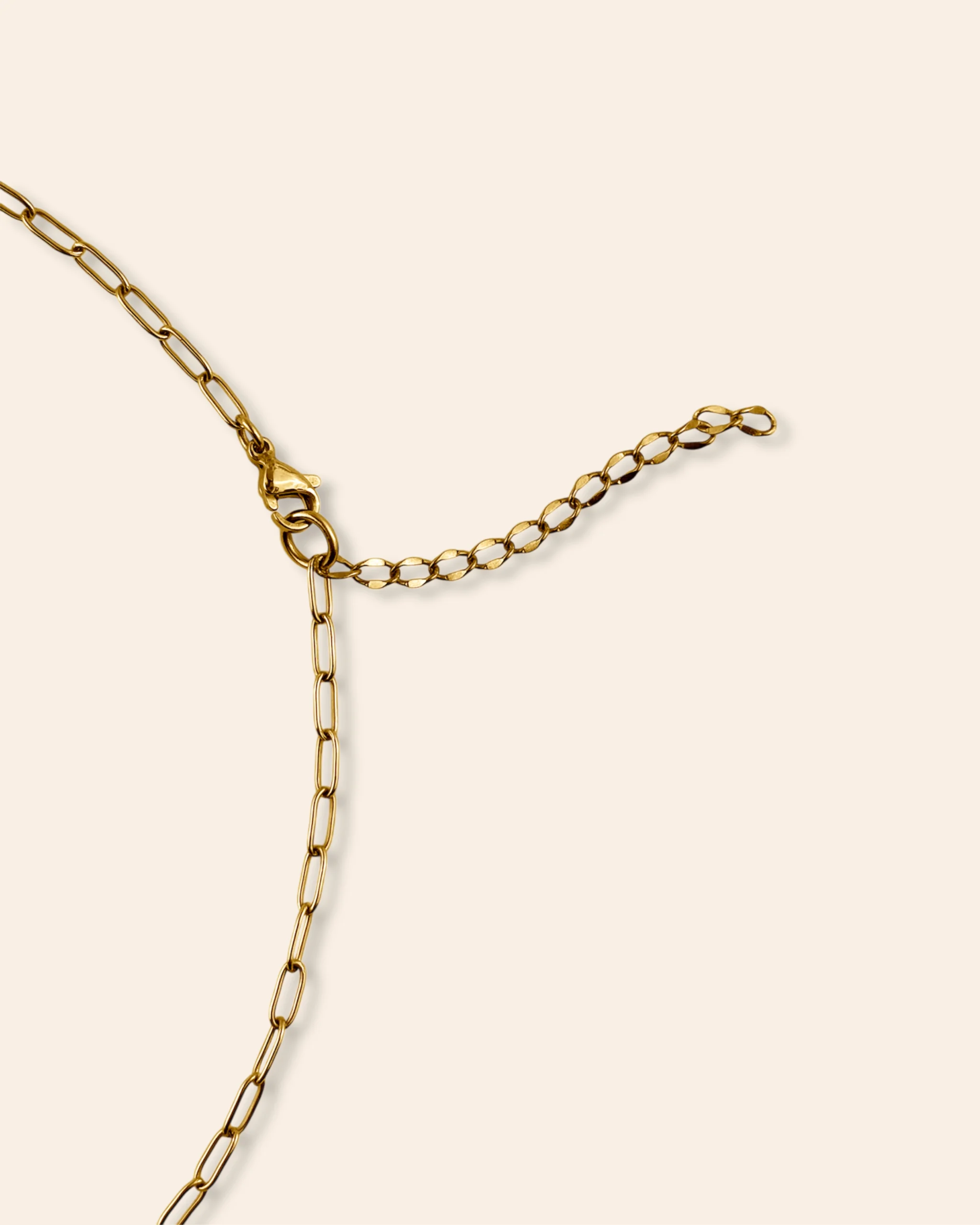 Chaîne aux maillons moyen de dos avec chaîne d’extension et fermoir