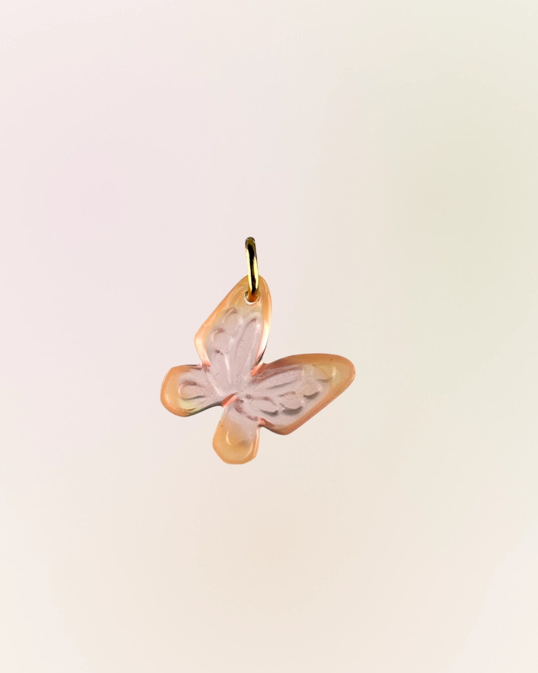 Charm papillon