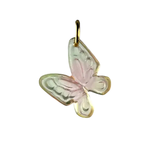 Papillon dégradé vert et rose