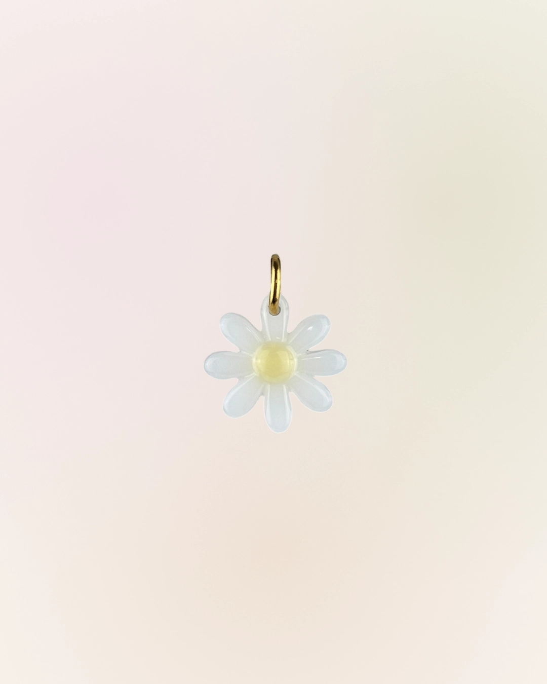 Charm marguerite