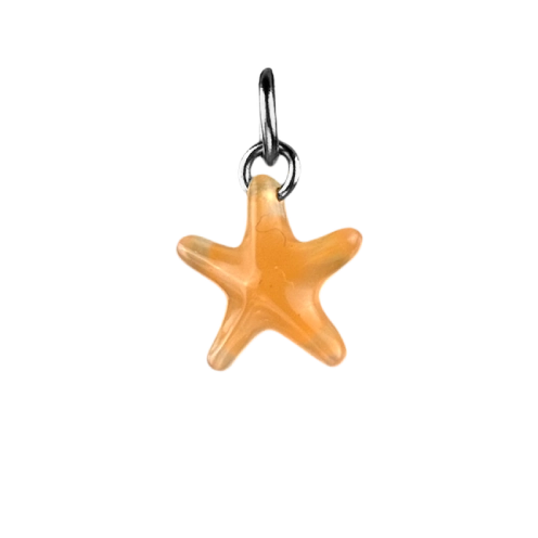 Charm étoile de mer otange argenté
